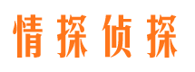 南票市调查公司